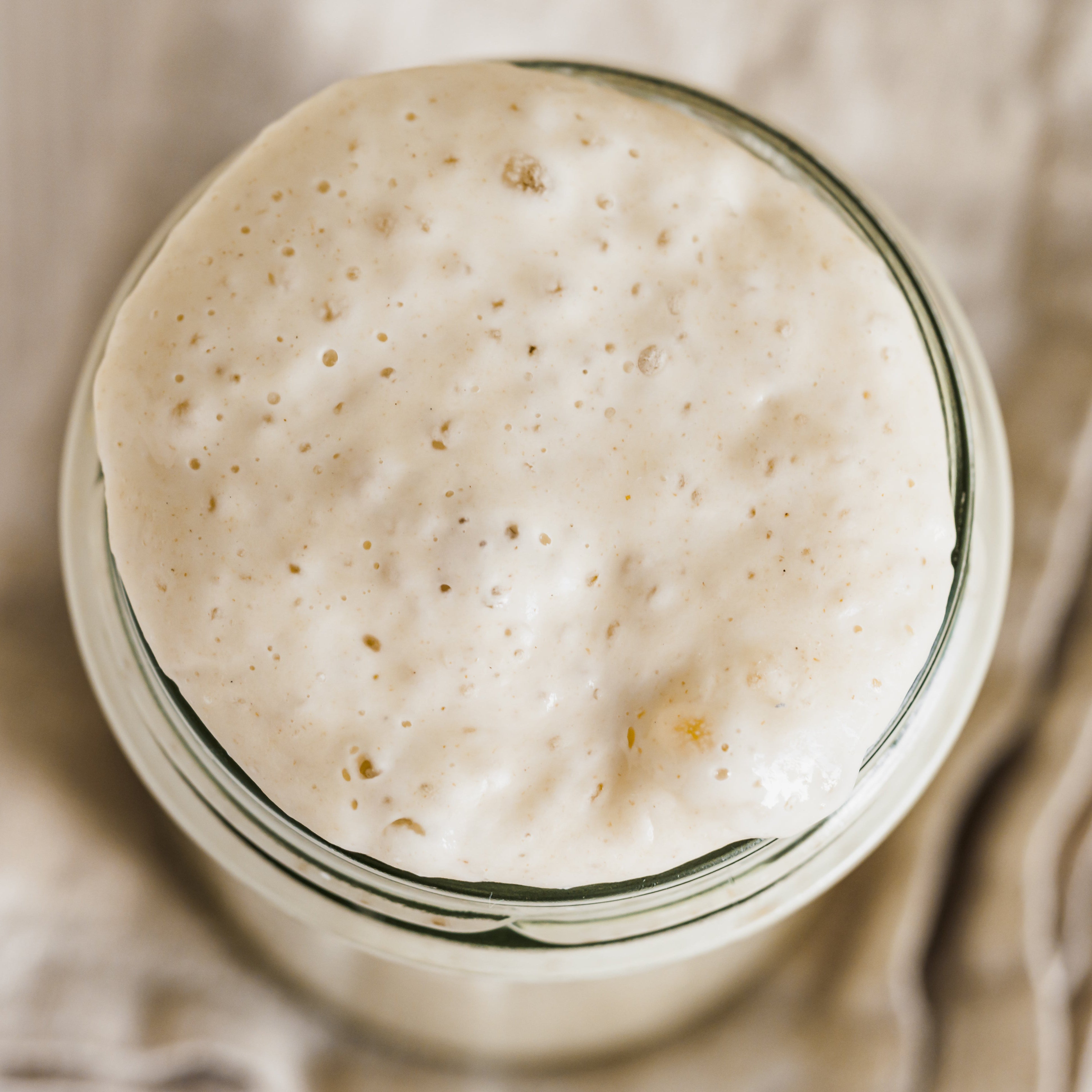 Sourdough Starter